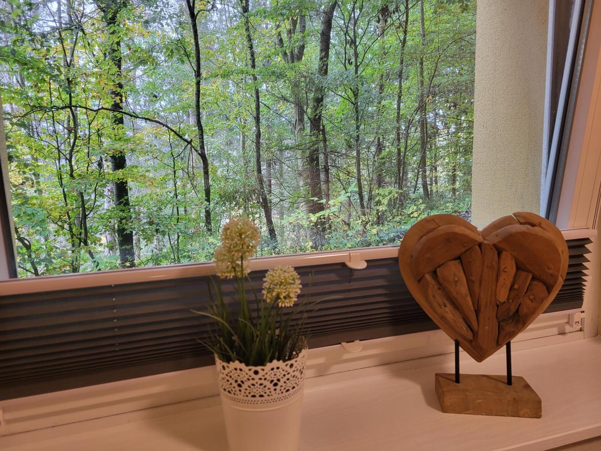 Modernisierte Ferienwohnung Naturseelen Mit Schwimmbad Und Sauna Braunlage Exterior foto